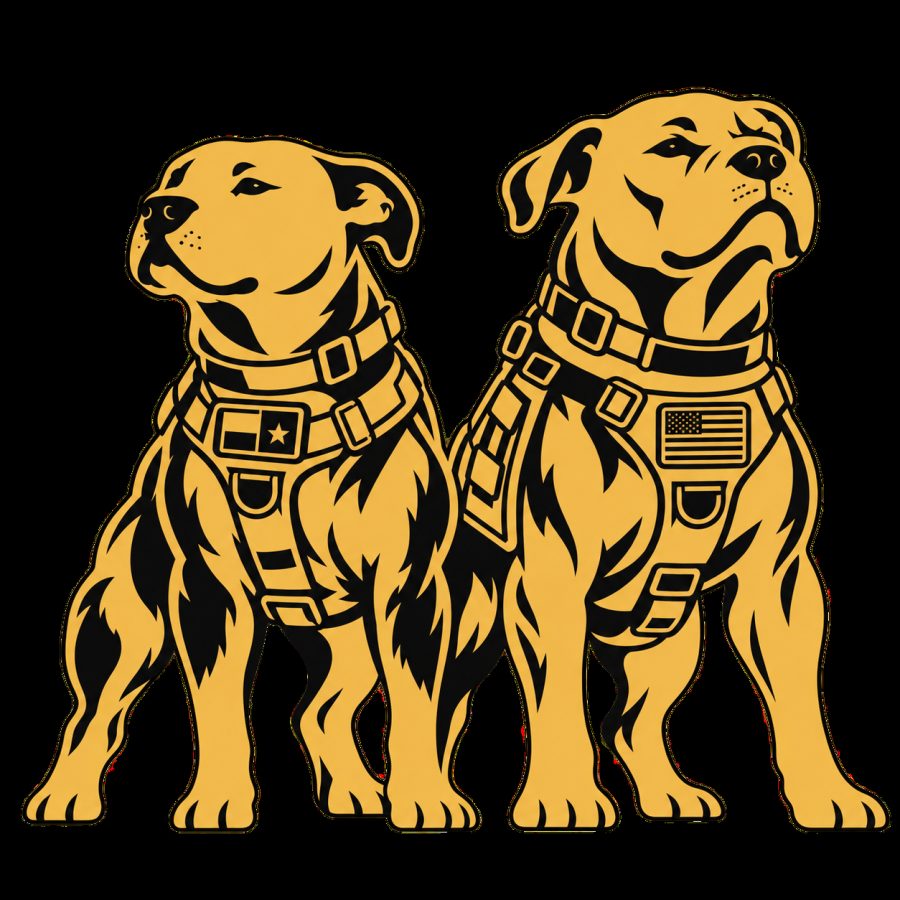 Two gold service dogs